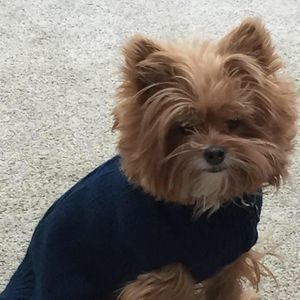 Meet your Posher, Judy